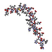 Amyloid beta molecule, illustration
