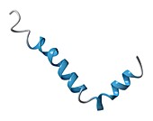 Amyloid beta molecule, illustration