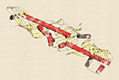 CETP protein molecule, illustration