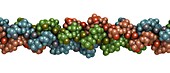 Collagen protein molecule, illustration