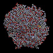 Gamma-glutamyltranspeptidase 1, illustration