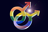 Male homosexuality symbol, illustration