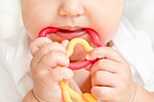 Female toddler chewing rattle