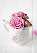 Roses in milk jug