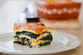 Salmon and spinach lasagne