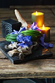 Blaue Orchideen auf einem Stück Wurzelholz mit Kerzendeko