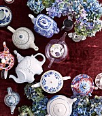 Different teapots between blue hydrangea flowers