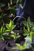 Fresh blackberries with leaves