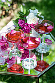 Champagne and rose water cocktails