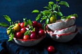 Small plums and leaves in ceramic bowls