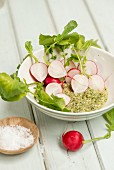 Radishes with mint and almond pesto