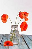 Red poppies in a glass bottle on a wooden table