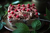 Vegan chocolate and raspberry dessert