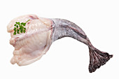 Fresh monkfish (headless)