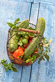 Tomatoes, cucumbers and herbs in a wire basket