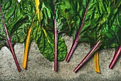 Flat-lay of fresh leaves of swiss chard on a concrete stone background