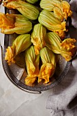 Zucchini blossoms, an edible part of the plant