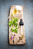 Essential oil of geranium