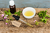 Essential oil of geranium