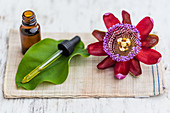 Essential oil of passiflora