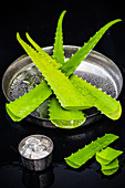 Aloe vera leaves