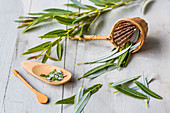 White willow leaves (Salix alba)