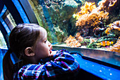 Kids visiting an aquarium
