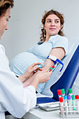 Doctor taking a blood sample from a pregnant woman