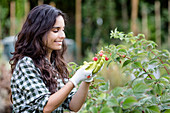 Woman gardening