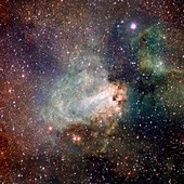 Swan Nebula (M17), VST image