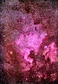 North America Nebula, optical image