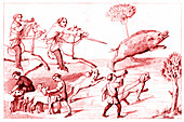 19th Century boar hunting, illustration
