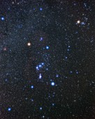 Orion constellation, optical image