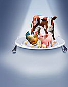 Animal farming, conceptual image