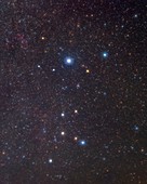 Canis Major constellation, optical image