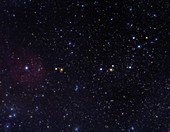 Serpens Caput constellation, optical image