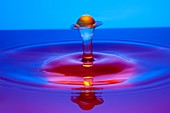 Water drop impact, high-speed photograph