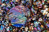 Meteorite SAU 089, polarised LM