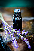 Essential oil of lavender