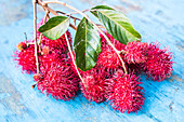 Litchi