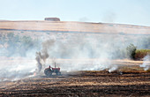 Burning stubble