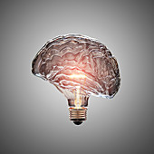 Human brain in shape of light bulb