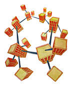 Business network, illustration