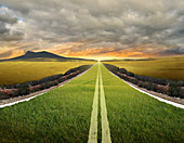 Illustration of grass growing on road