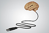 Illustration of human brain connected with USB cable