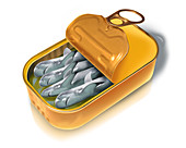 Illustration of open canned fish