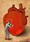 Male surgeon stitching heart, illustration