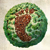 Global footprint, conceptual illustration