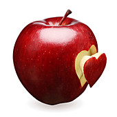 Red apple with heart shape