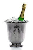 Champagne bottle in ice bucket, studio shot
